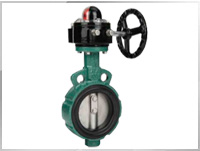 Concentric Butterfly Valve, Concentric Butterfly Valves, Butterfly Valve
